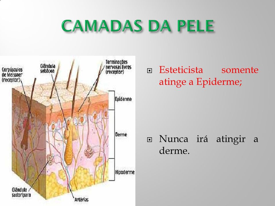 Epiderme; Nunca