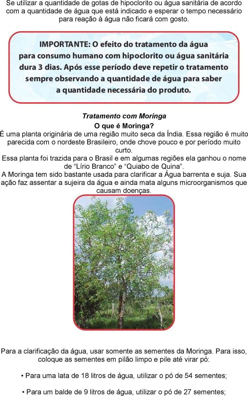 Essa planta foi trazida para o Brasil e em algumas regiões ela ganhou o nome de Lírio Branco e Quiabo de Quina. A Moringa tem sido bastante usada para clarificar a Água barrenta e suja.