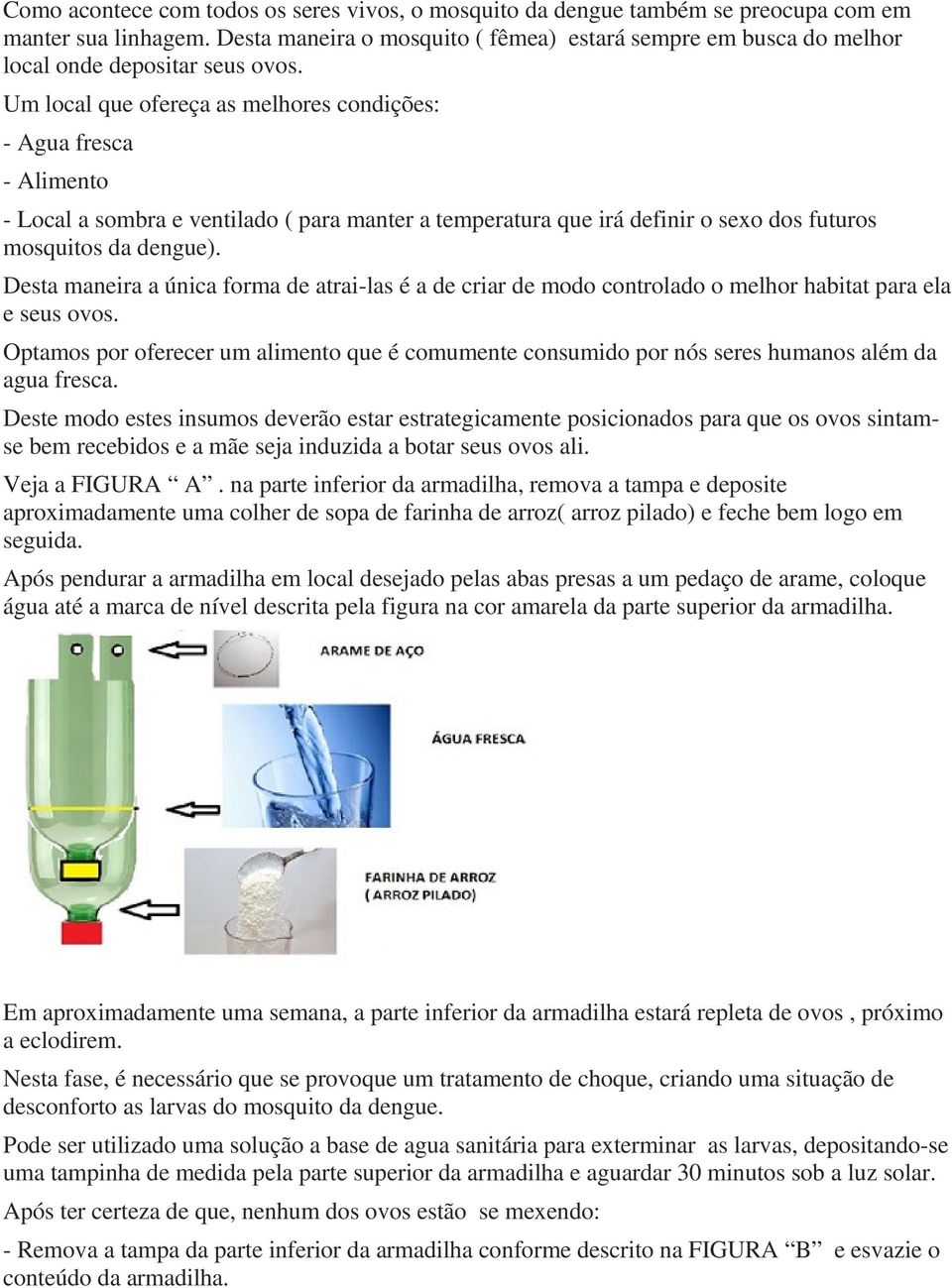 Um local que ofereça as melhores condições: - Agua fresca - Alimento - Local a sombra e ventilado ( para manter a temperatura que irá definir o sexo dos futuros mosquitos da dengue).