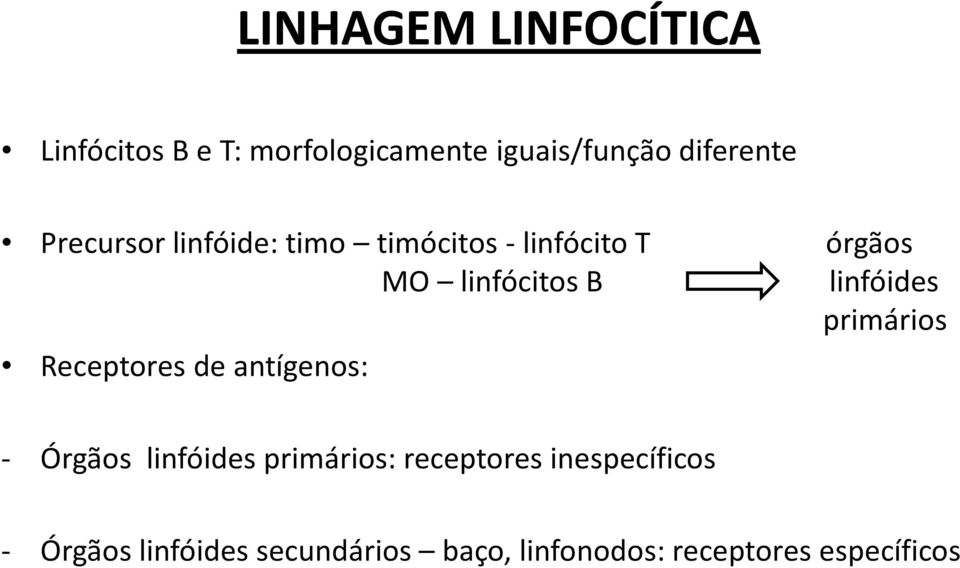 primários Receptores de antígenos: - Órgãos linfóides primários: receptores