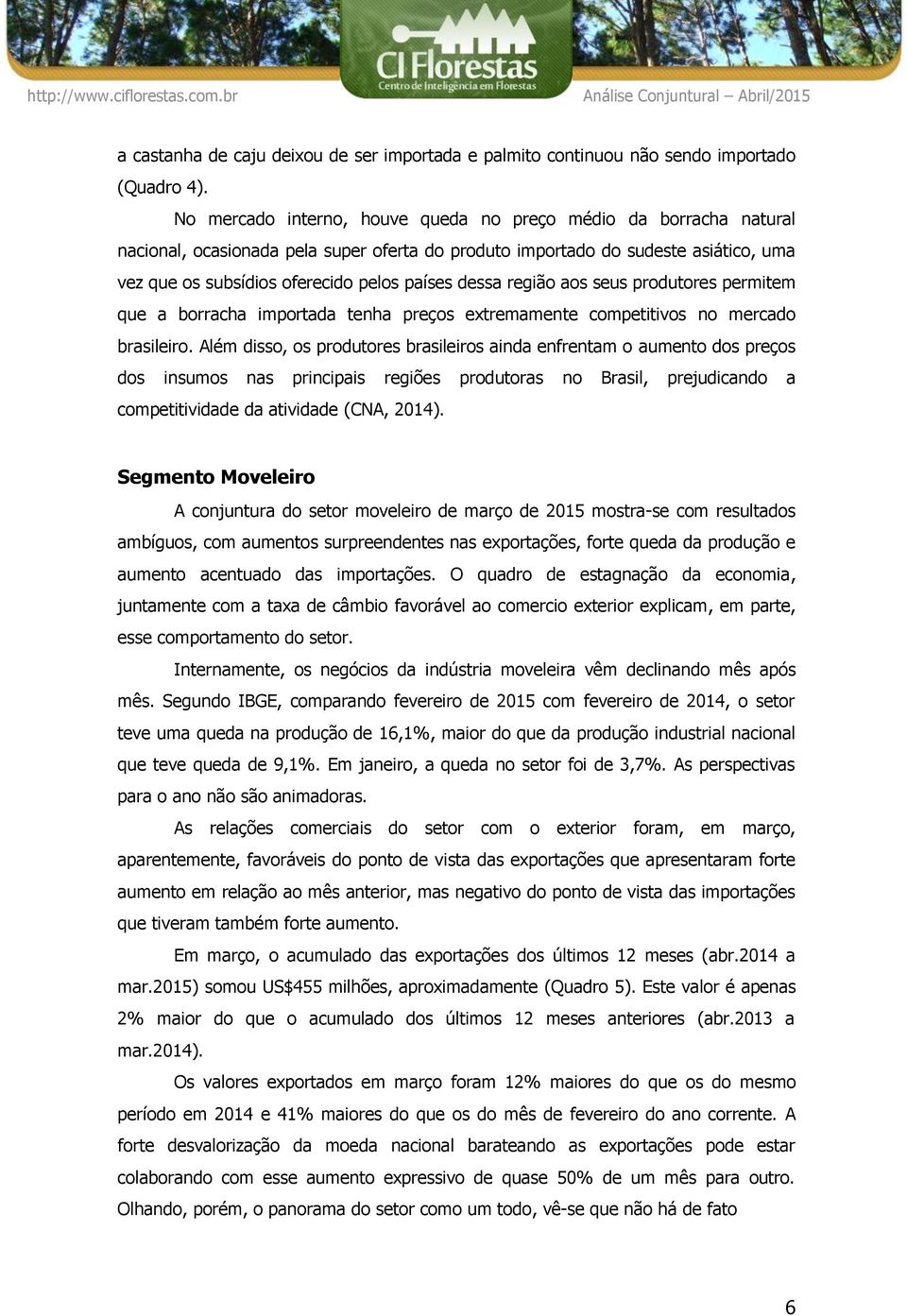 dessa região aos seus produtores permitem que a borracha importada tenha preços extremamente competitivos no mercado brasileiro.