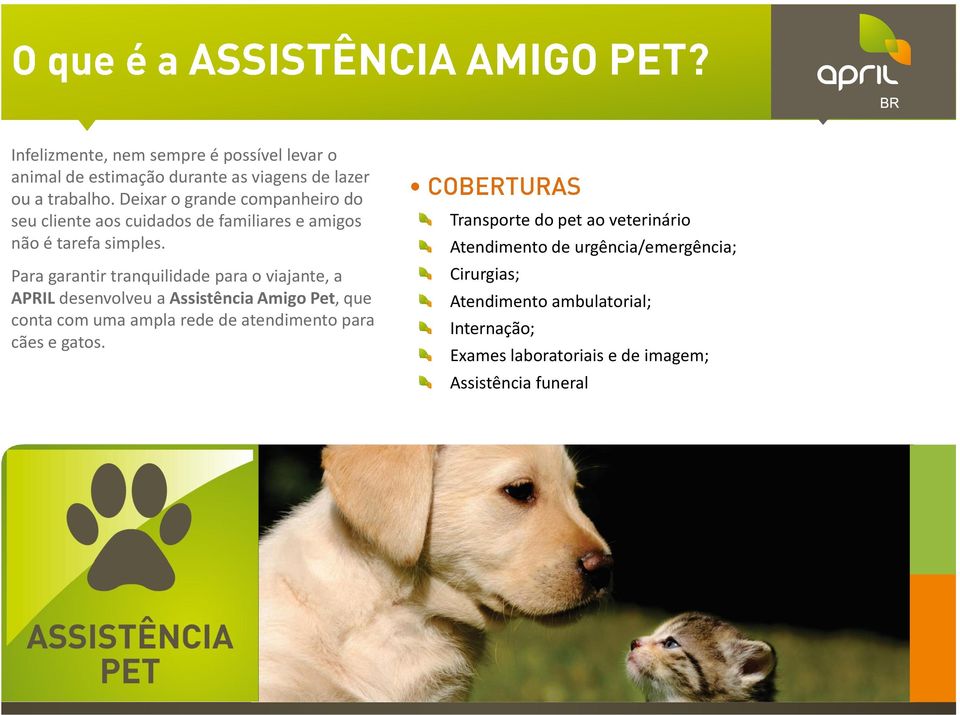 Para garantir tranquilidade para o viajante, a APRIL desenvolveu a Assistência Amigo Pet, que conta com uma ampla rede de