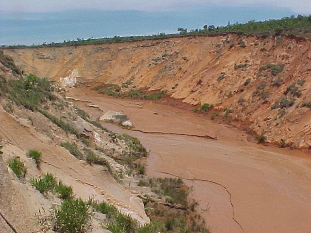 Estudos anteriores na Região das nascentes do rio Araguaia (1 516 km2)