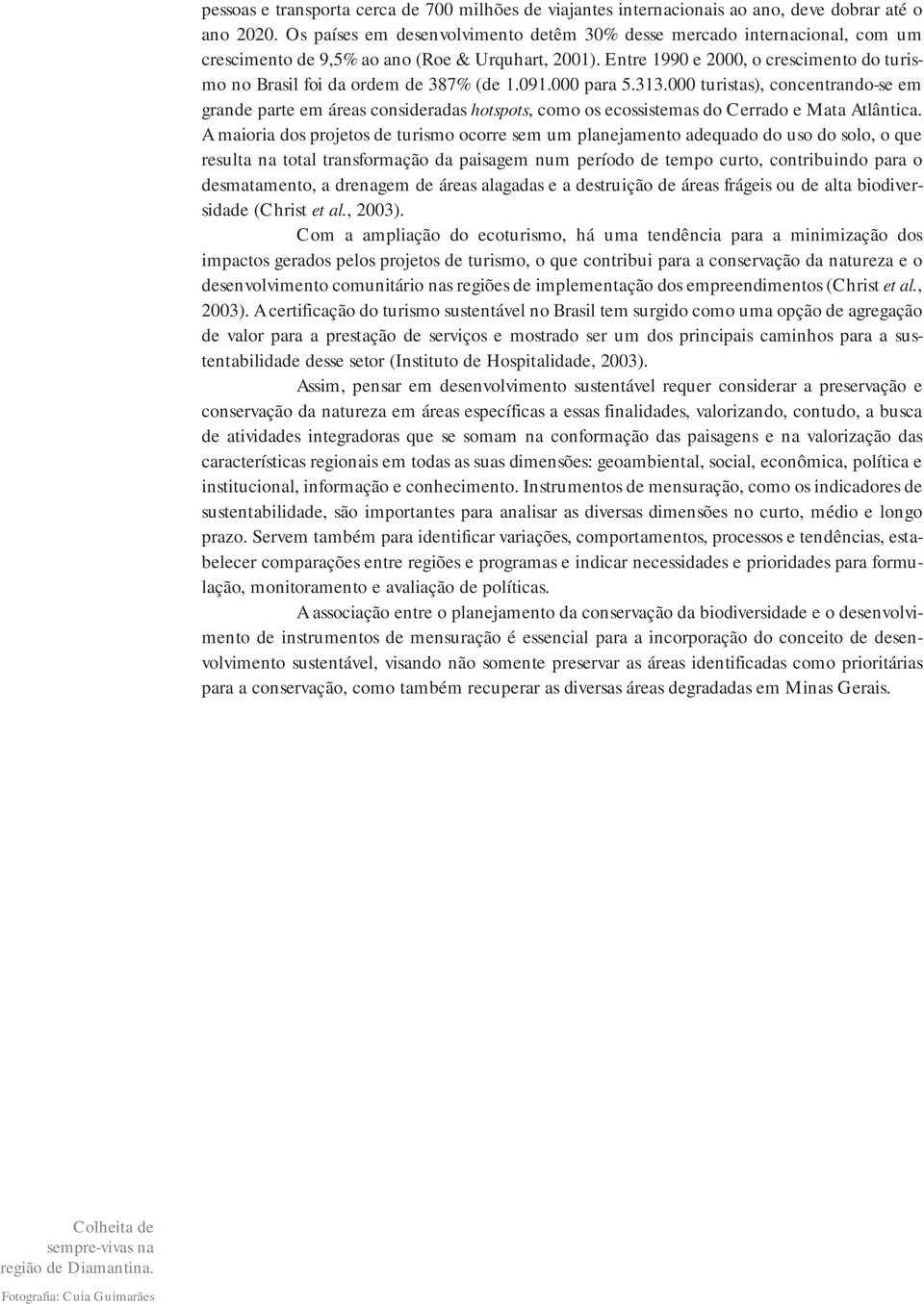 Entre 1990 e 2000, o crescimento do turismo no Brasil foi da ordem de 387% (de 1.091.000 para 5.313.