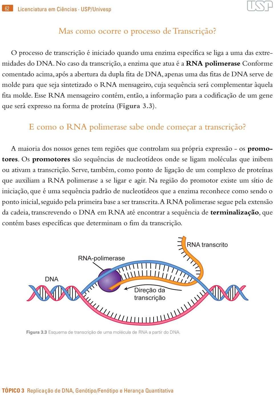 mensageiro, cuja sequência será complementar àquela fita molde. Esse RNA mensageiro contém, então, a informação para a codificação de um gene que será expresso na forma de proteína (Figura 3.3).