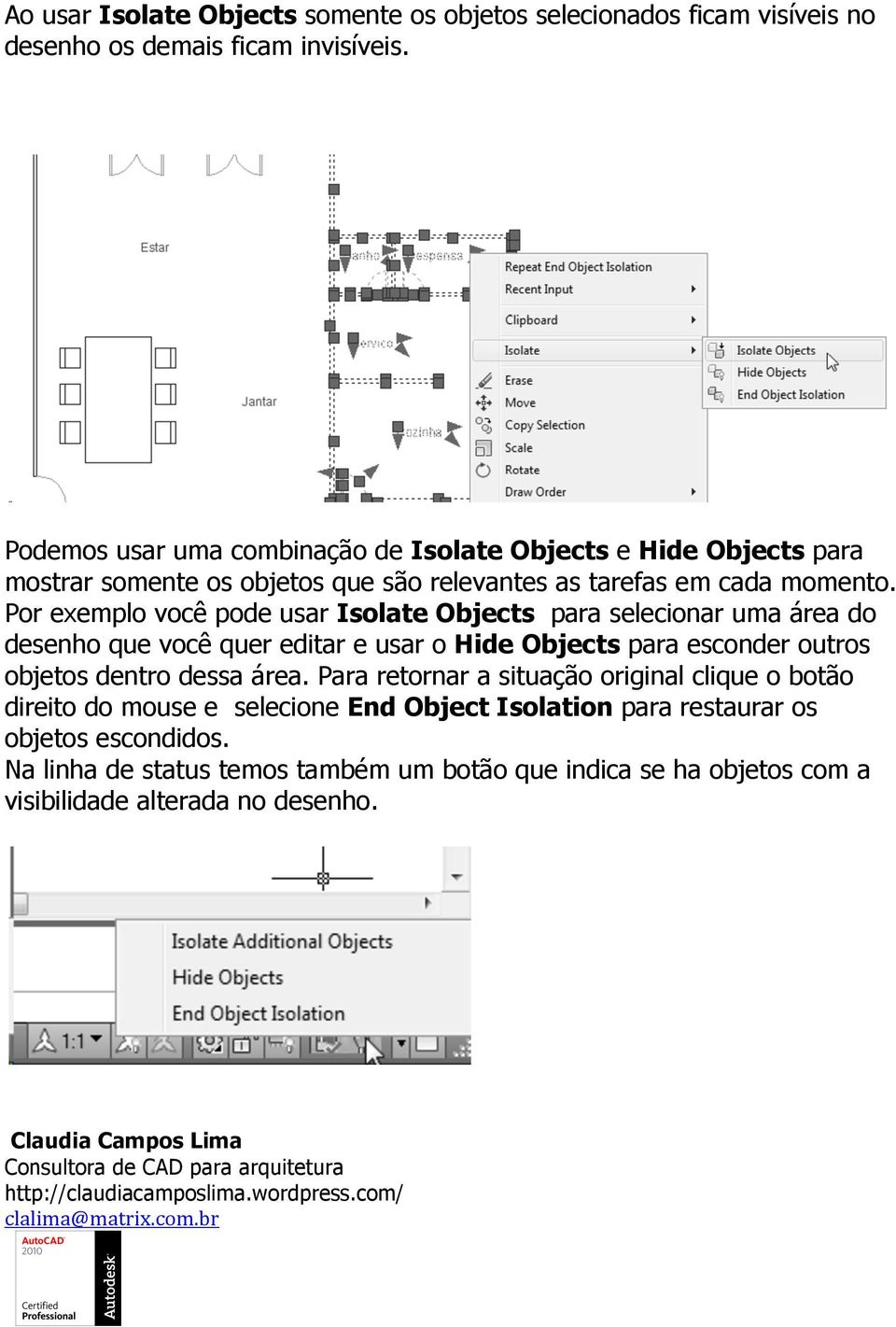 Por exemplo você pode usar Isolate Objects para selecionar uma área do desenho que você quer editar e usar o Hide Objects para esconder outros objetos dentro dessa área.