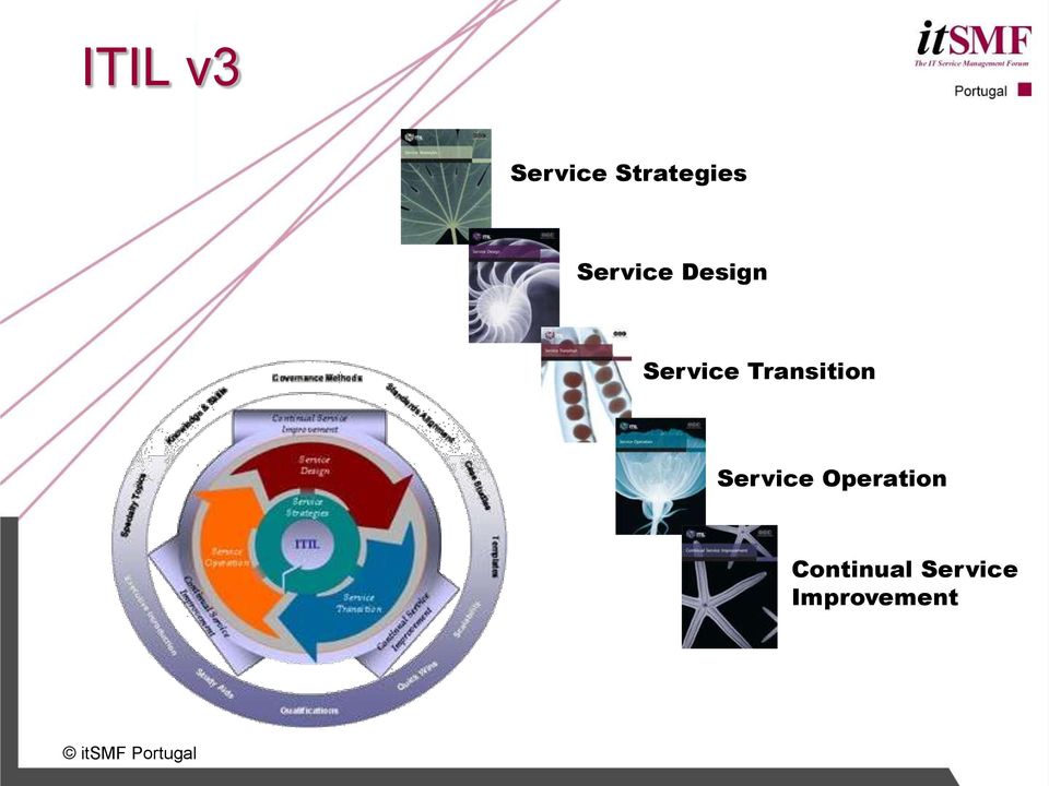 Transition Service Operation