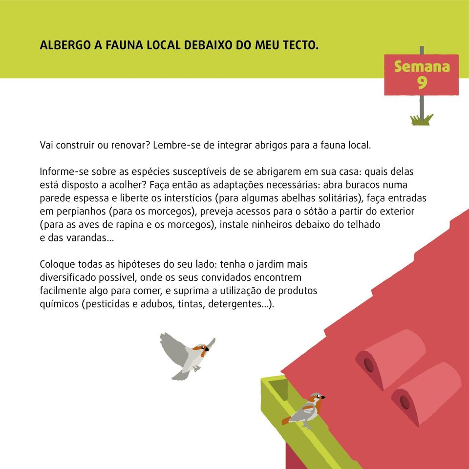 Faça então as adaptações necessárias: abra buracos numa parede espessa e liberte os interstícios (para algumas abelhas solitárias), faça entradas em perpianhos (para os morcegos), preveja acessos