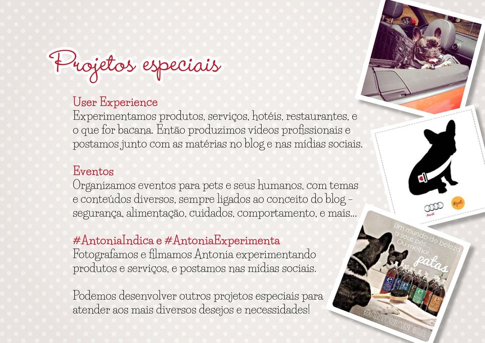 Eventos Organizamos eventos para pets e seus humanos, com temas e conteúdos diversos, sempre ligados ao conceito do blog segurança, alimentação, cuidados,