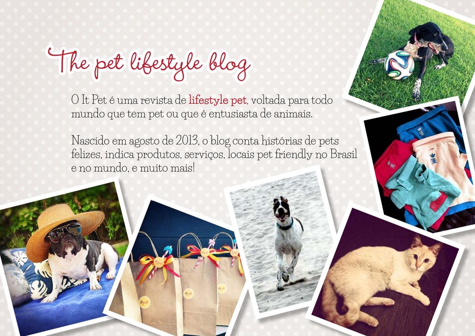 Nascido em agosto de 2013, o blog conta histórias de pets felizes,