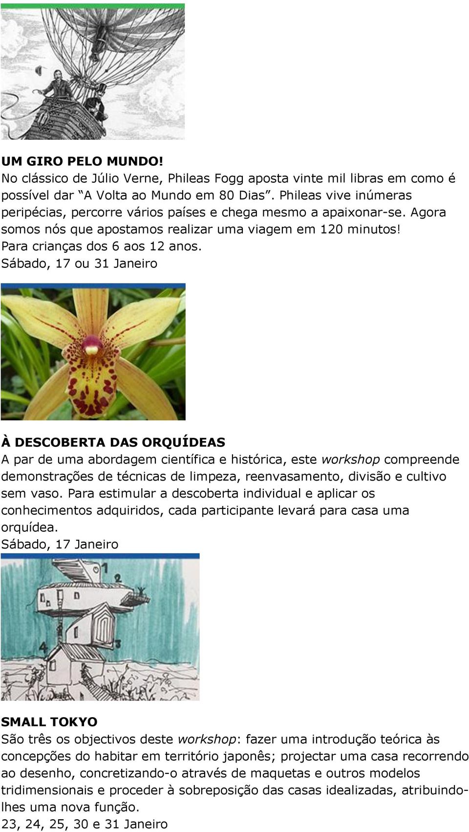 Sábado, 17 ou 31 Janeiro À DESCOBERTA DAS ORQUÍDEAS A par de uma abordagem científica e histórica, este workshop compreende demonstrações de técnicas de limpeza, reenvasamento, divisão e cultivo sem