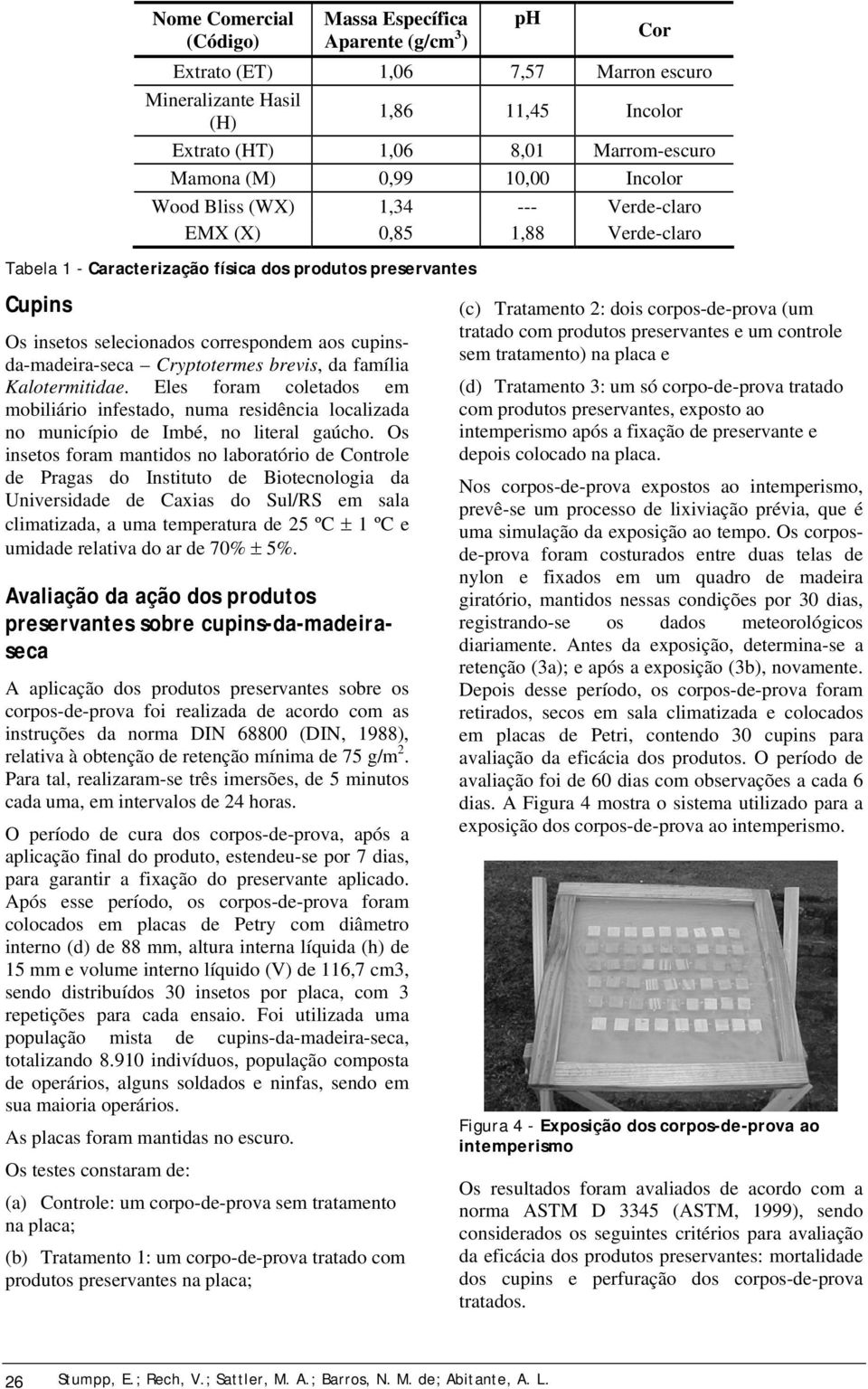 cupinsda-madeira-seca Cryptotermes brevis, da família Kalotermitidae. Eles foram coletados em mobiliário infestado, numa residência localizada no município de Imbé, no literal gaúcho.