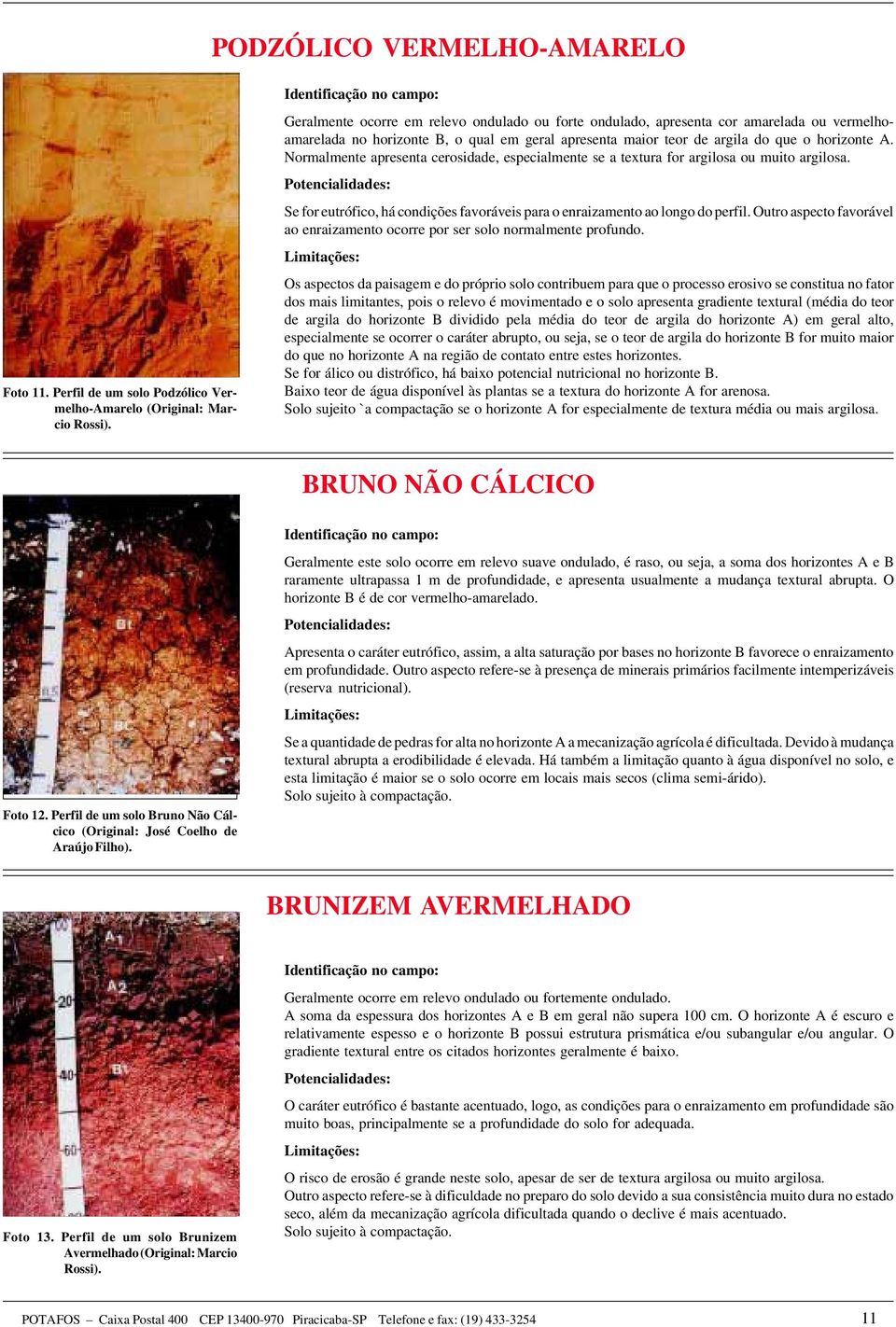 Normalmente apresenta cerosidade, especialmente se a textura for argilosa ou muito argilosa. Se for eutrófico, há condições favoráveis para o enraizamento ao longo do perfil.