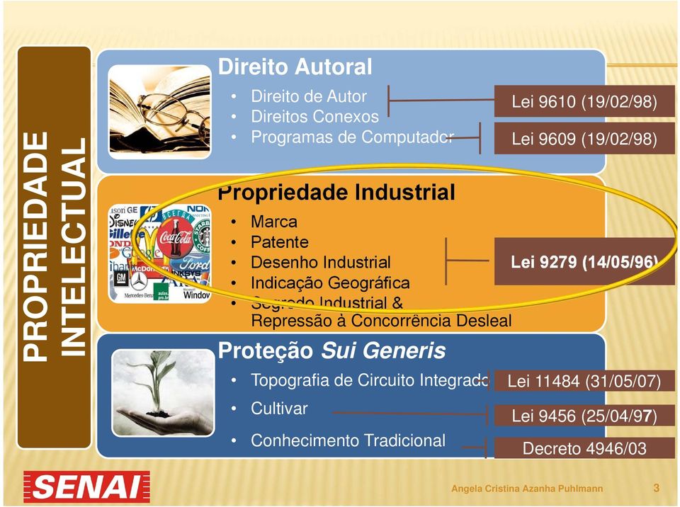 à Concorrência Desleal Proteção Sui Generis Topografia de Circuito Integrado Cultivar Conhecimento Tradicional Lei