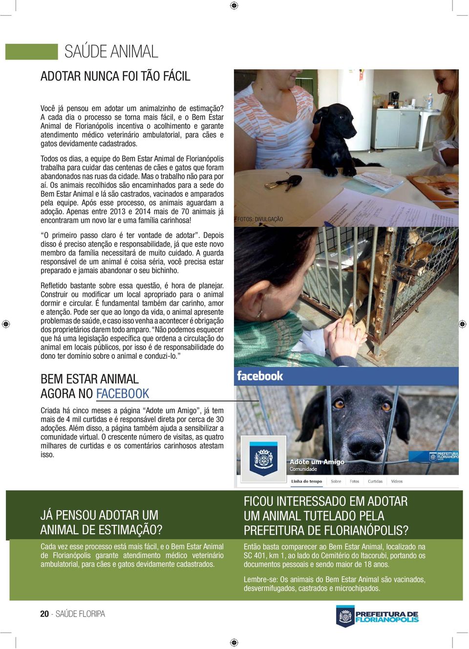 cadastrados. Todos os dias, a equipe do Bem Estar Animal de Florianópolis trabalha para cuidar das centenas de cães e gatos que foram abandonados nas ruas da cidade. Mas o trabalho não para por aí.