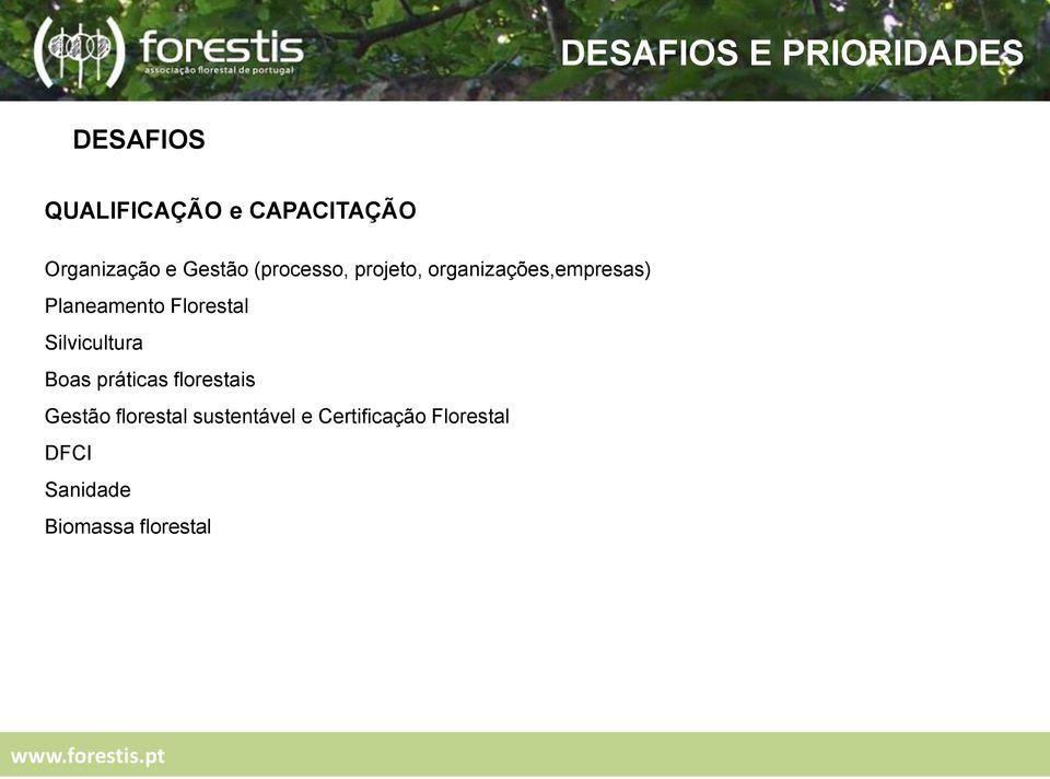 Planeamento Florestal Silvicultura Boas práticas florestais Gestão