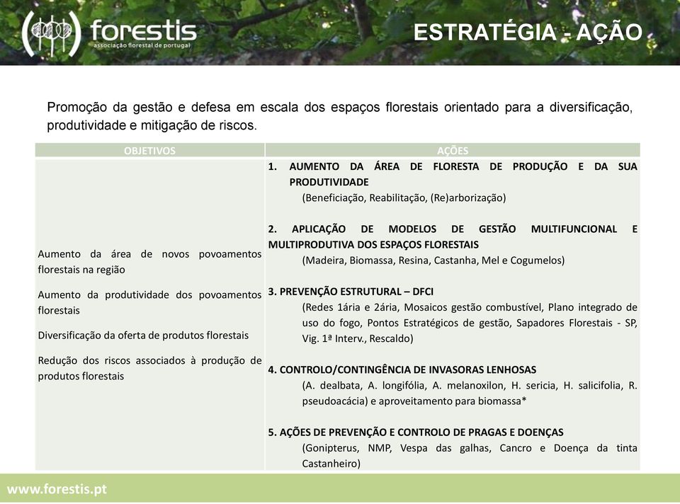 produção de produtos florestais AÇÕES 1. AUMENTO DA ÁREA DE FLORESTA DE PRODUÇÃO E DA SUA PRODUTIVIDADE (Beneficiação, Reabilitação, (Re)arborização) 2.