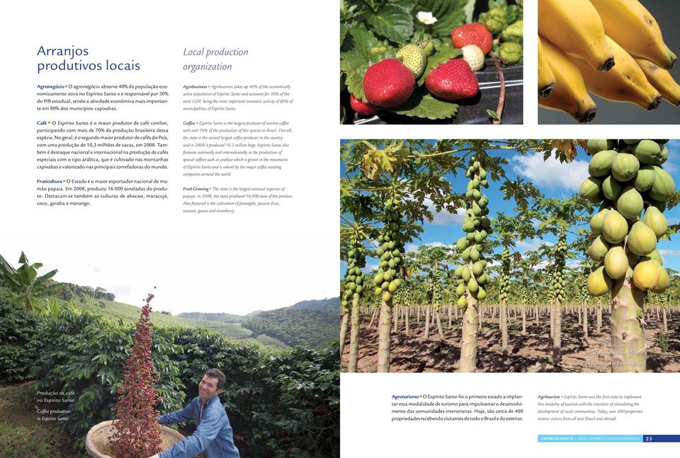 Agrobusiness Agrobusiness takes up 40% of the economically active population of Espírito Santo and accounts for 30% of the state GDP, being the most important economic activity of 80% of
