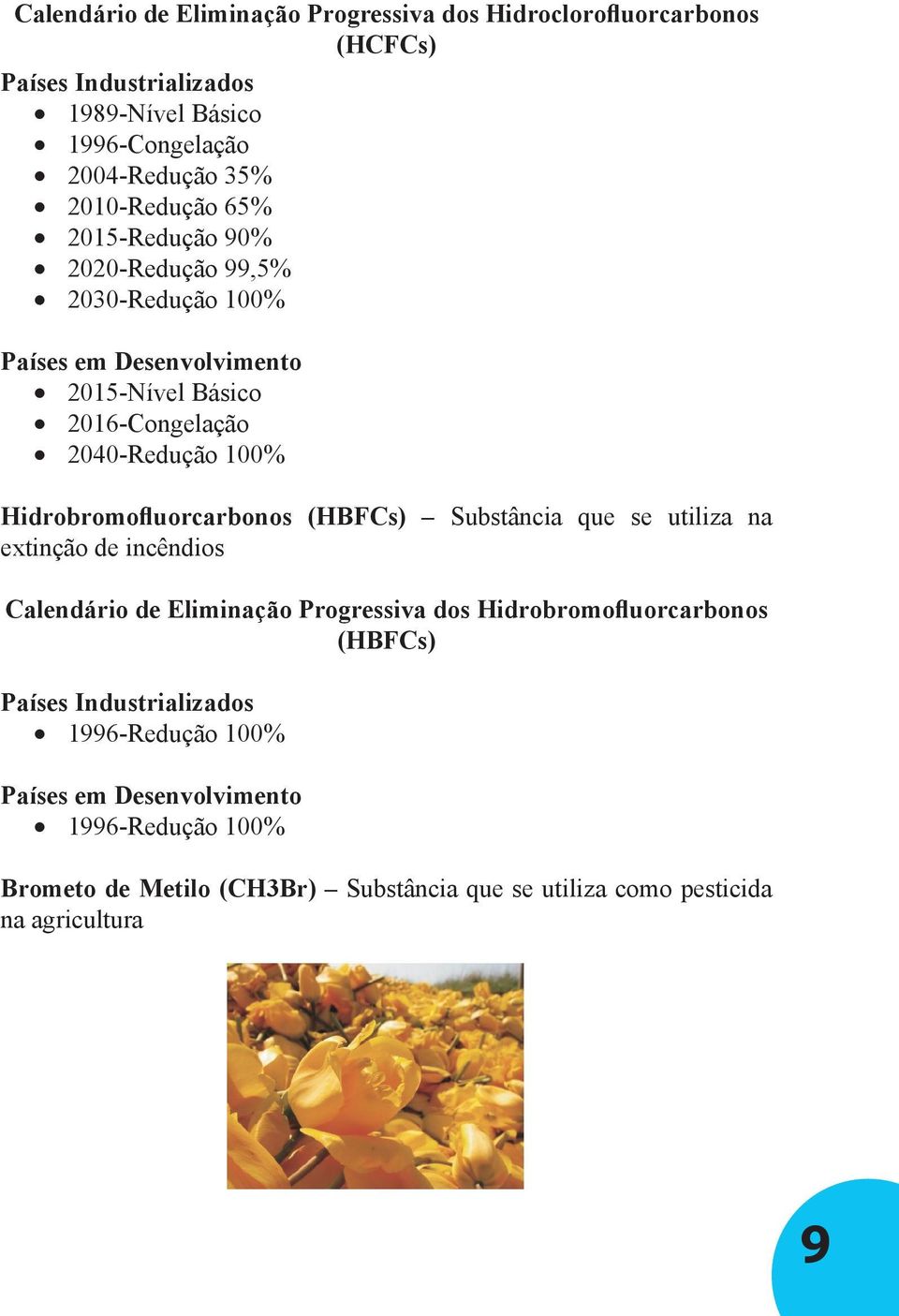 Hidrobromofluorcarbonos (HBFCs) Substância que se utiliza na extinção de incêndios Calendário de Eliminação Progressiva dos