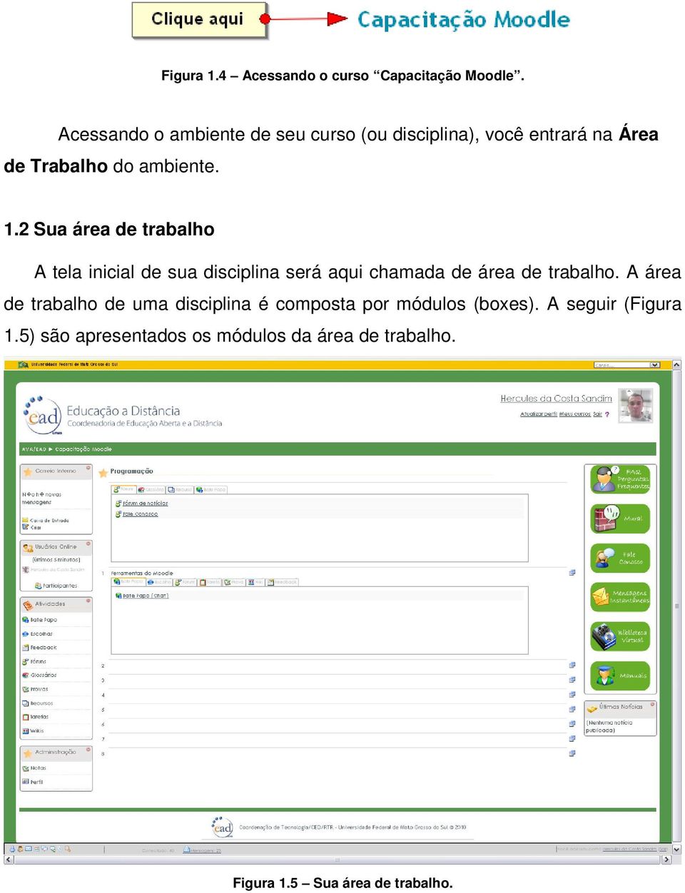 2 Sua área de trabalho A tela inicial de sua disciplina será aqui chamada de área de trabalho.