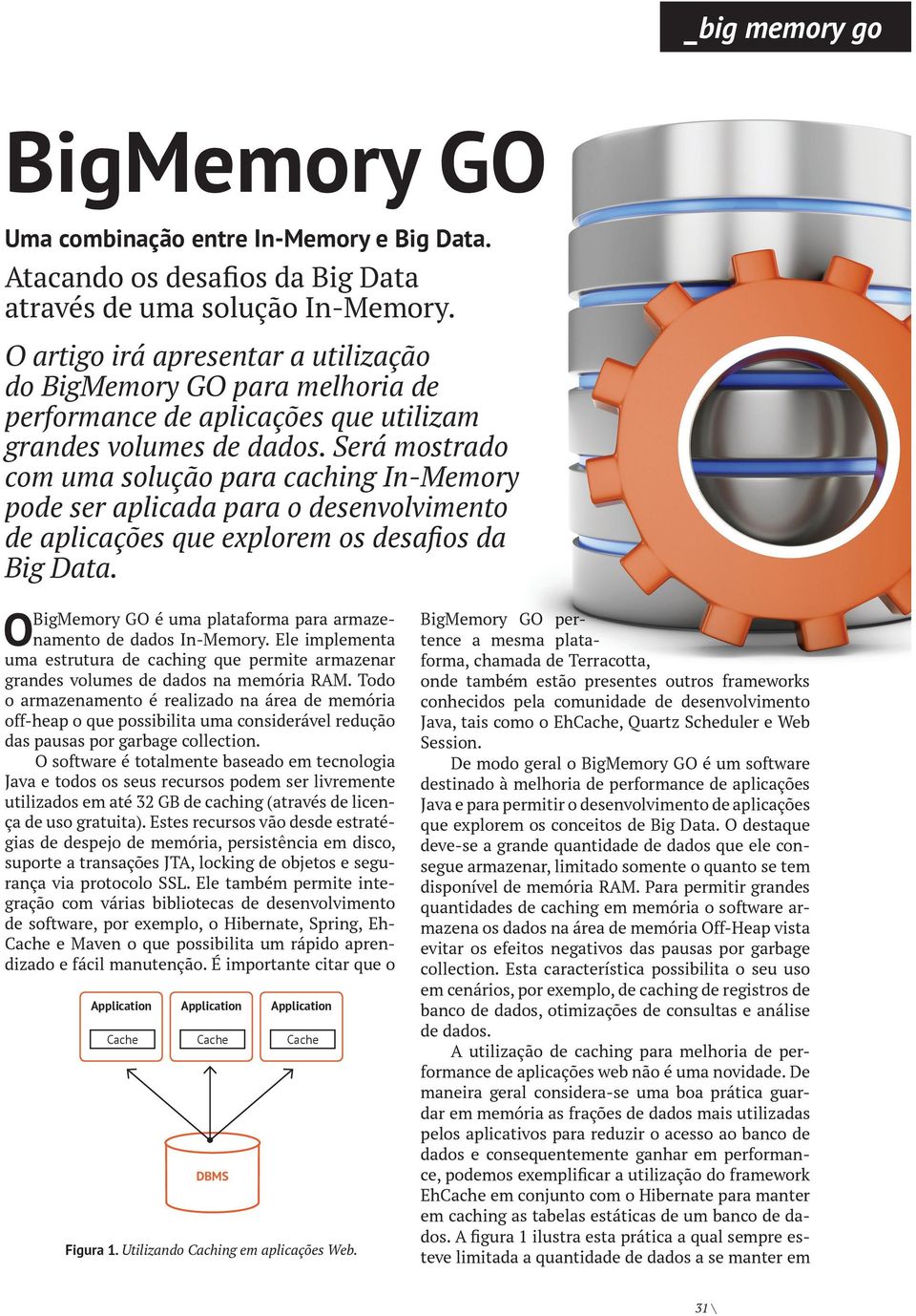 Será mostrado com uma solução para caching In-Memory pode ser aplicada para o desenvolvimento de aplicações que explorem os desafios da Big Data.