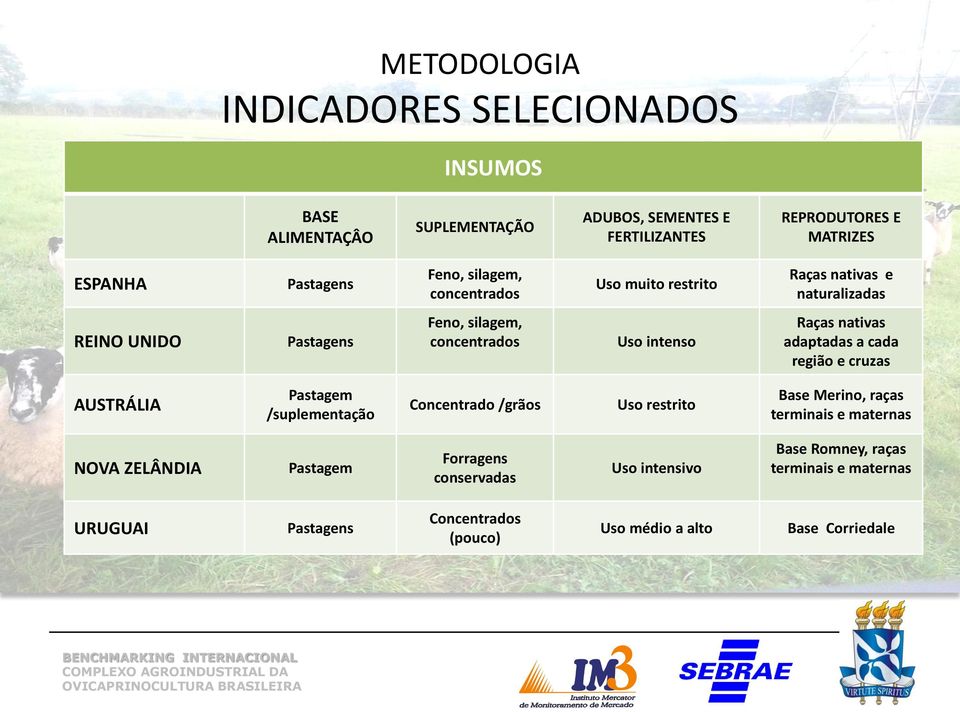 adaptadas a cada região e cruzas AUSTRÁLIA Pastagem /suplementação Concentrado /grãos Uso restrito Base Merino, raças terminais e maternas NOVA ZELÂNDIA