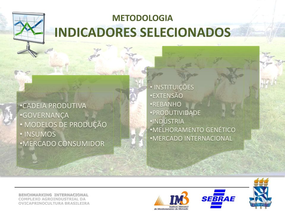 MERCADO CONSUMIDOR INSTITUIÇÕES EXTENSÃO REBANHO