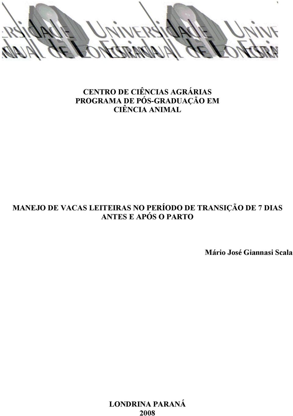 LEITEIRAS NO PERÍODO DE TRANSIÇÃO DE 7 DIAS ANTES