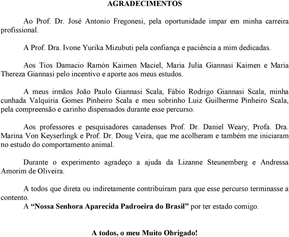 A meus irmãos João Paulo Giannasi Scala, Fábio Rodrigo Giannasi Scala, minha cunhada Valquíria Gomes Pinheiro Scala e meu sobrinho Luiz Guilherme Pinheiro Scala, pela compreensão e carinho