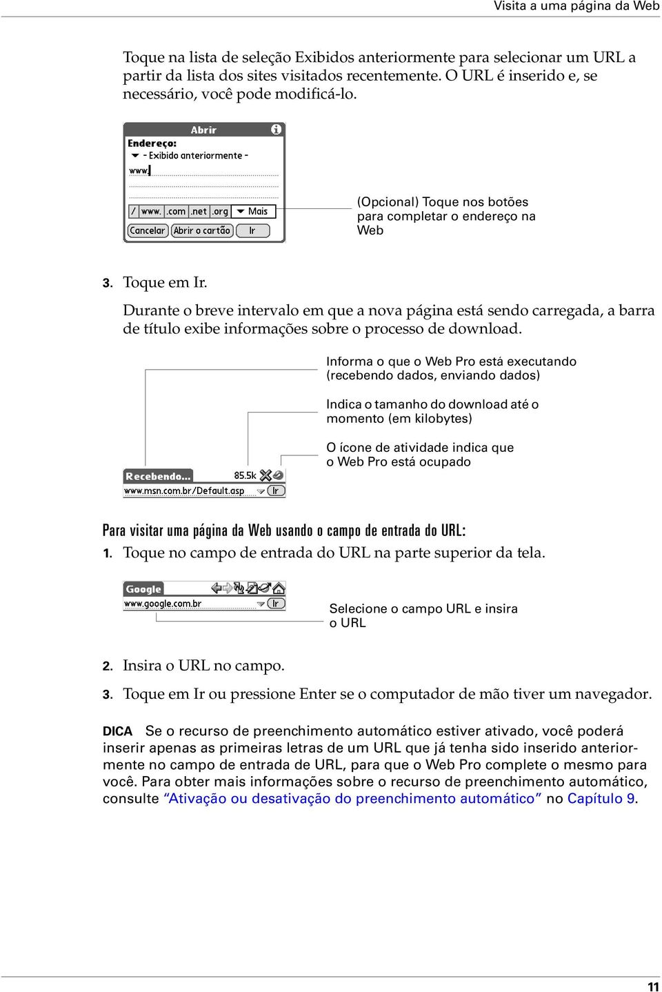 Durante o breve intervalo em que a nova página está sendo carregada, a barra de título exibe informações sobre o processo de download.