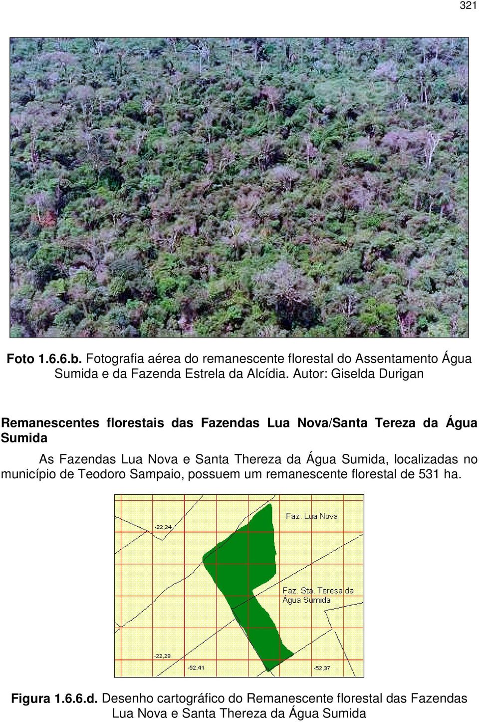 Autor: Giselda Durigan Remanescentes florestais das Fazendas Lua Nova/Santa Tereza da Água Sumida As Fazendas Lua Nova