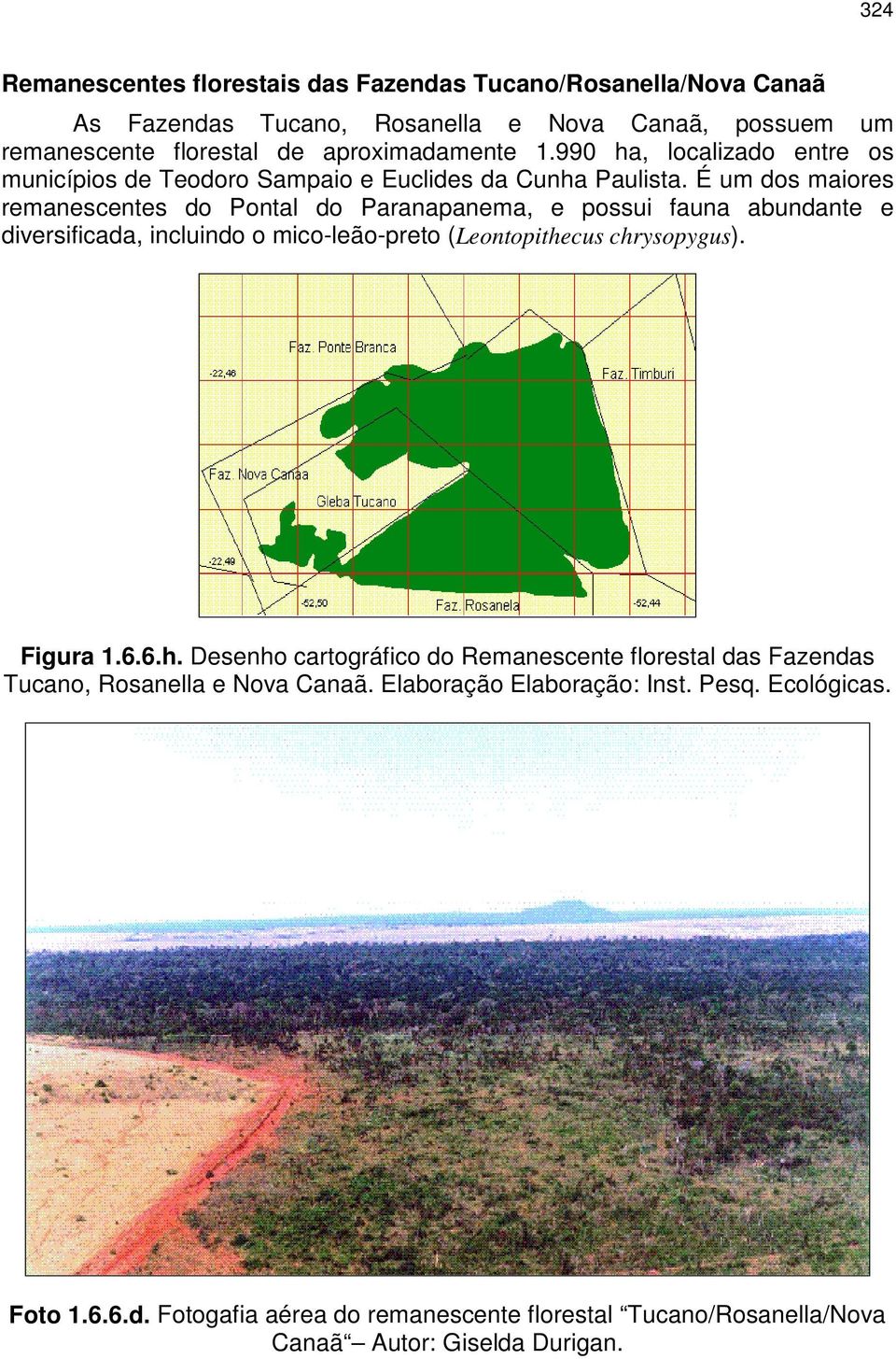 É um dos maiores remanescentes do Pontal do Paranapanema, e possui fauna abundante e diversificada, incluindo o mico-leão-preto (Leontopithecus chrysopygus). Figura 1.6.