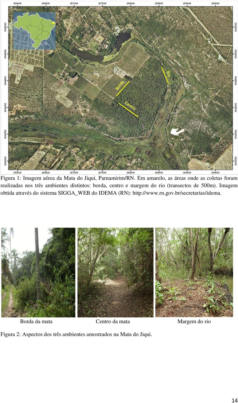 margem do rio (transectos de 500m).