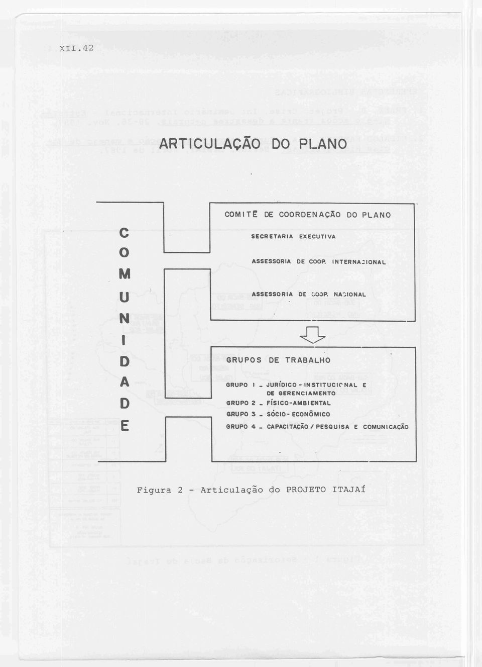 EXECUTIVA ASSESSORIA DE COOP. INTERNA'::IONAL ASSESSORIA DE ~;OOP.