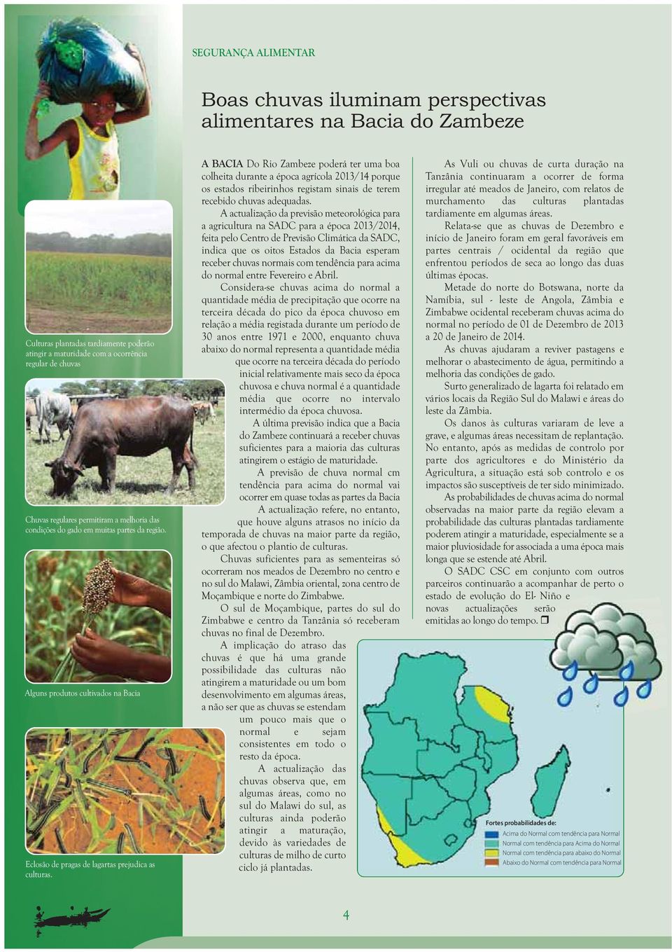 A BACIA Do Rio Zambeze poderá ter uma boa colheita durante a época agrícola 2013/14 porque os estados ribeirinhos registam sinais de terem recebido chuvas adequadas.