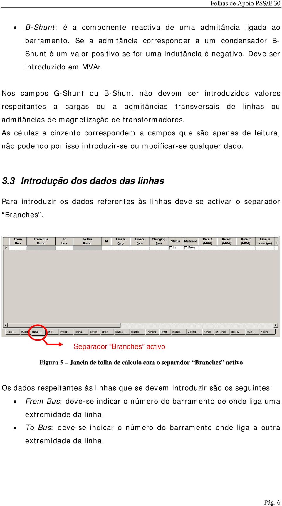 Nos campos G-Shunt ou B-Shunt não devem ser introduzidos valores respeitantes a cargas ou a admitâncias transversais de linhas ou admitâncias de magnetização de transformadores.