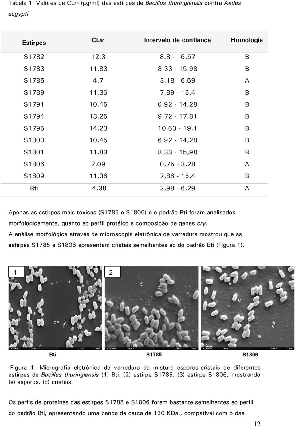 7,86-15,4 B Bti 4,38 2,98-6,29 A Apenas as estirpes mais tóxicas (S1785 e S1806) e o padrão Bti foram analisados morfologicamente, quanto ao perfil protéico e composição de genes cry.