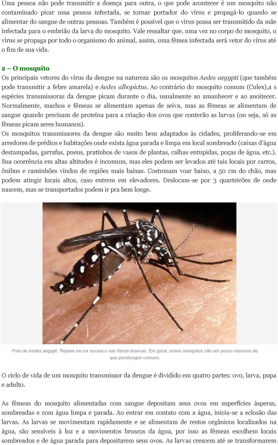 Vale ressaltar que, uma vez no corpo do mosquito, o vírus se propaga por todo o organismo do animal, assim, uma fêmea infectada será vetor do vírus até o fim de sua vida.