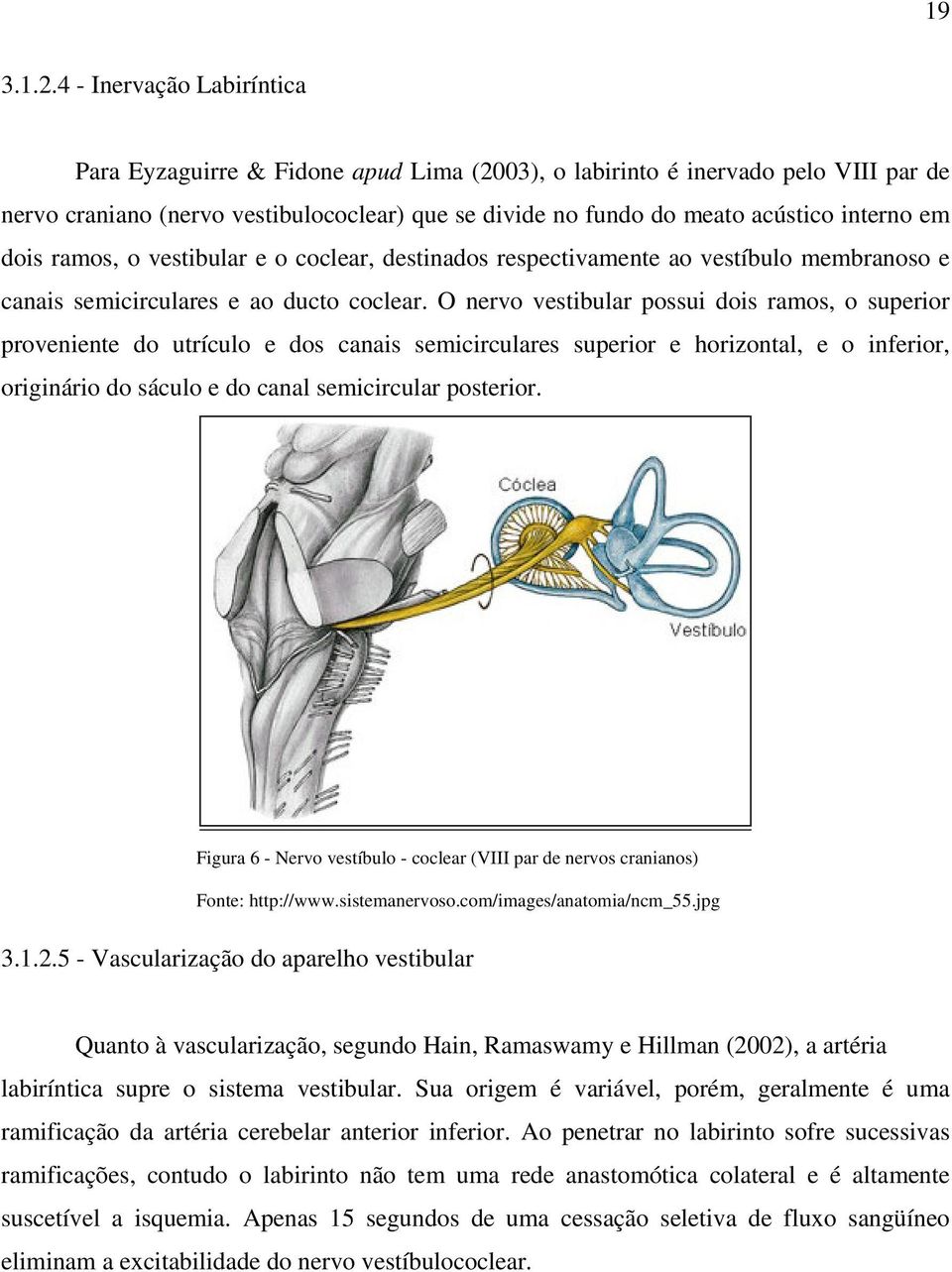 em dois ramos, o vestibular e o coclear, destinados respectivamente ao vestíbulo membranoso e canais semicirculares e ao ducto coclear.