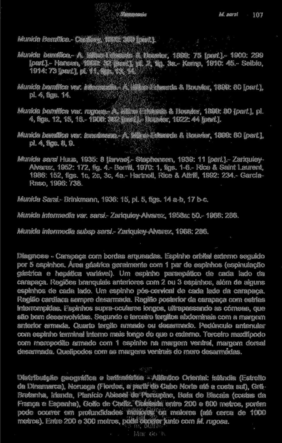 ], pi. 4, figs. 12, 15, 16.-1900: 302 [part.].- Bouvier, 1922: 44 [part.]. Munida bamffica var. tenuimana.- A. Milne-Edwards & Bouvier, 1899: 80 [part.], pi. 4, figs. 8, 9.