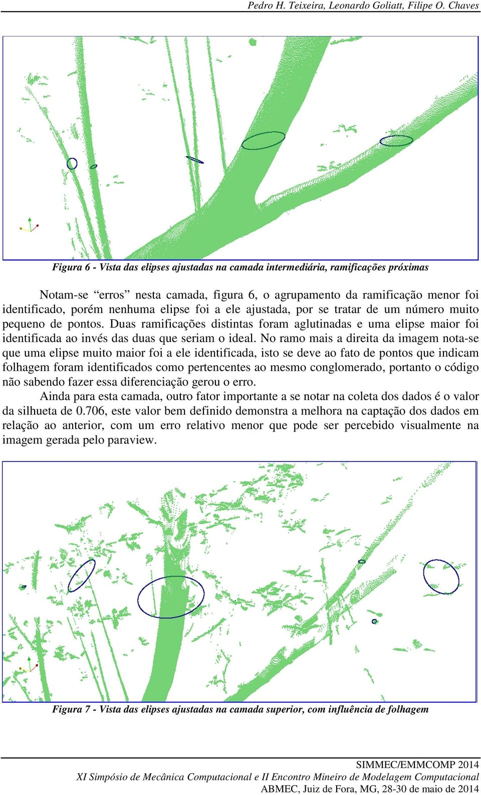 No ramo mais a direita da imagem nota-se que uma elipse muito maior foi a ele identificada, isto se deve ao fato de pontos que indicam folhagem foram identificados como pertencentes ao mesmo