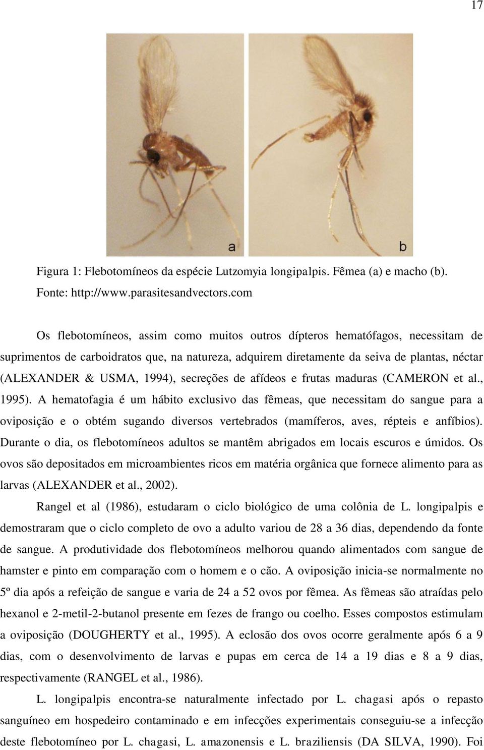 1994), secreções de afídeos e frutas maduras (CAMERON et al., 1995).