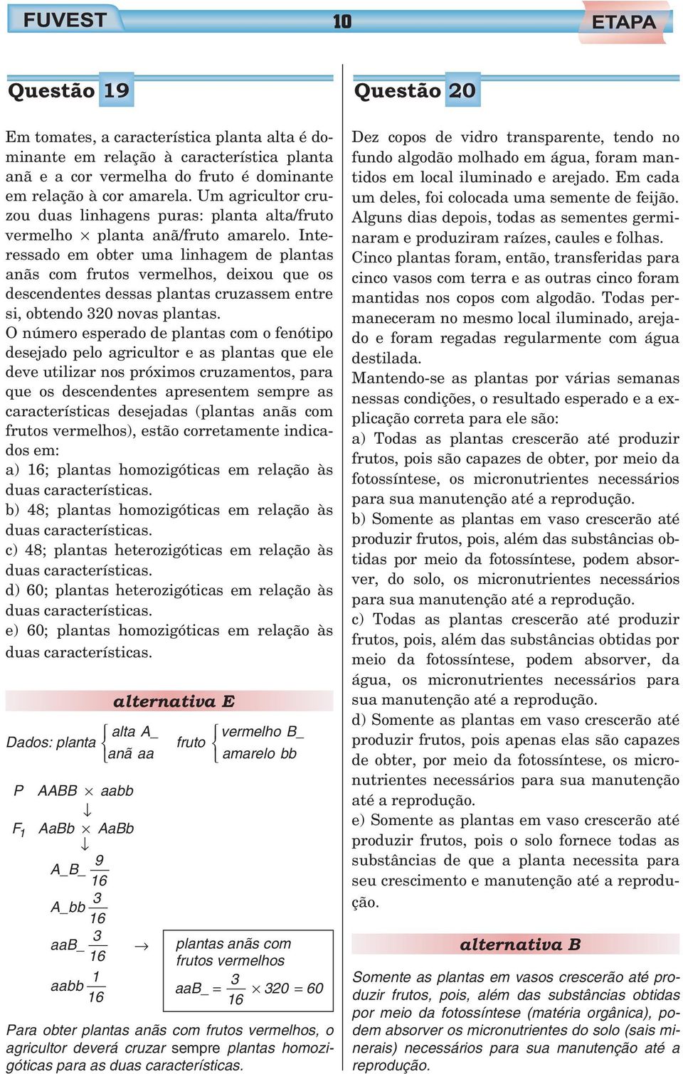 Interessado em obter uma linhagem de plantas anãs com frutos vermelhos, deixou que os descendentes dessas plantas cruzassem entre si, obtendo 320 novas plantas.