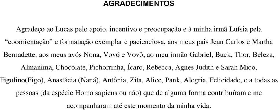 Almanima, Chocolate, Pichorrinha, Ícaro, Rebecca, Agnes Judith e Sarah Mico, Figolino(Figo), Anastácia (Naná), Antônia, Zita, Alice, Pank,