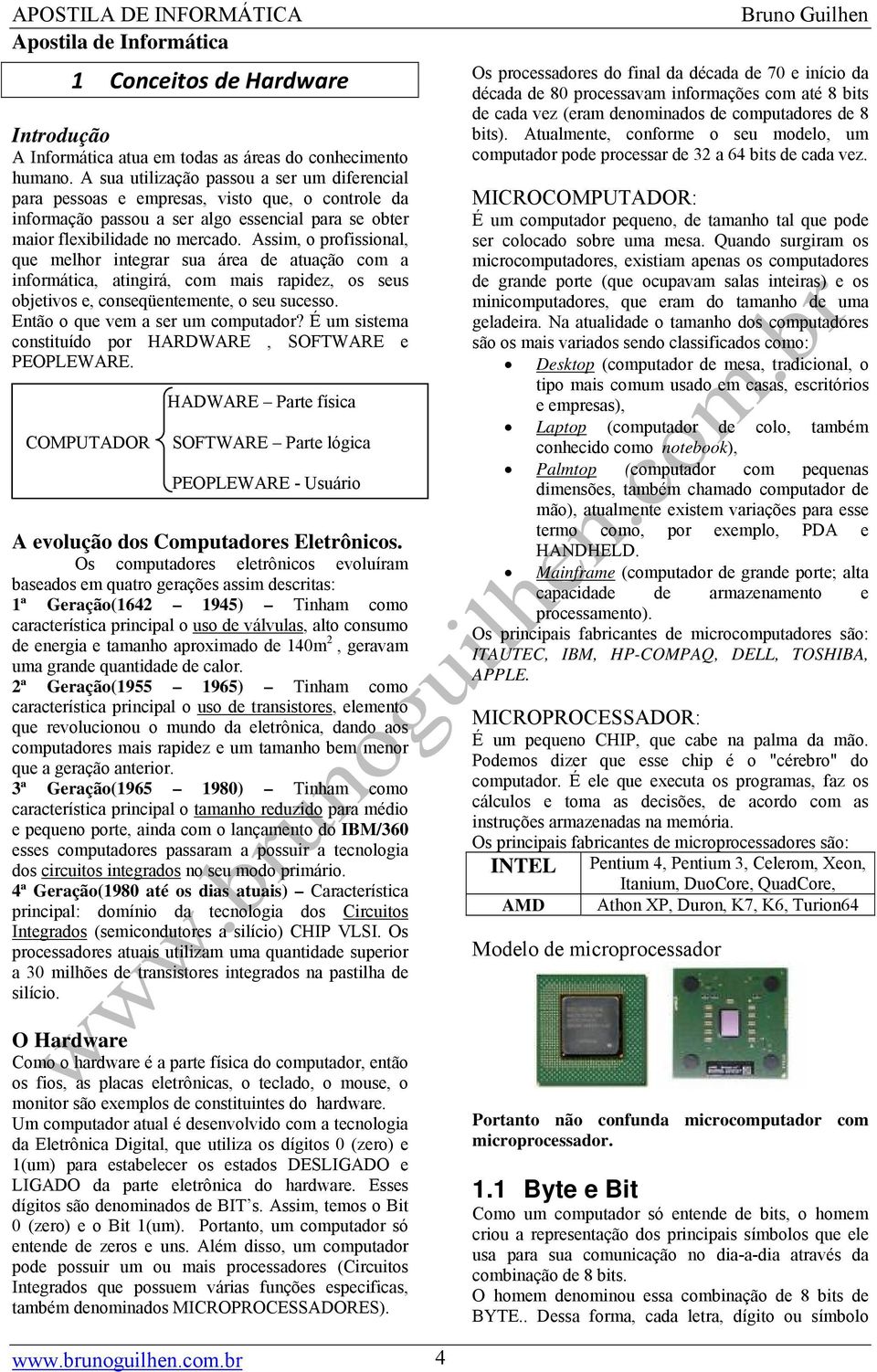 Assim, o profissional, que melhor integrar sua área de atuação com a informática, atingirá, com mais rapidez, os seus objetivos e, conseqüentemente, o seu sucesso. Então o que vem a ser um computador?