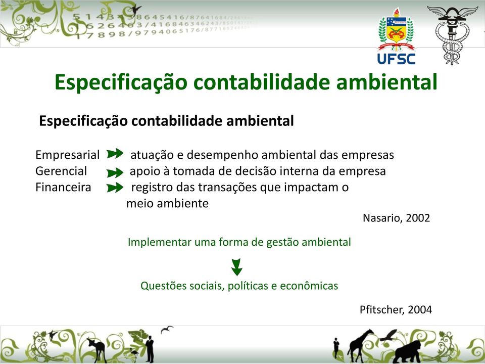 interna da empresa registro das transações que impactam o meio ambiente Nasario, 2002