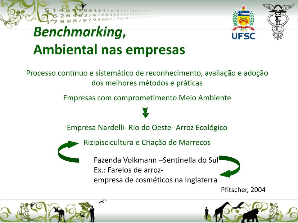 Empresa Nardelli- Rio do Oeste- Arroz Ecológico Rizipiscicultura e Criação de Marrecos