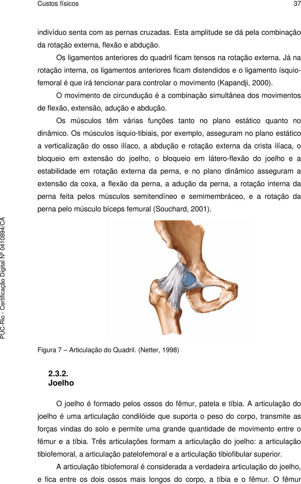 Já na rotação interna, os ligamentos anteriores ficam distendidos e o ligamento ísquiofemoral é que irá tencionar para controlar o movimento (Kapandji, 2000).