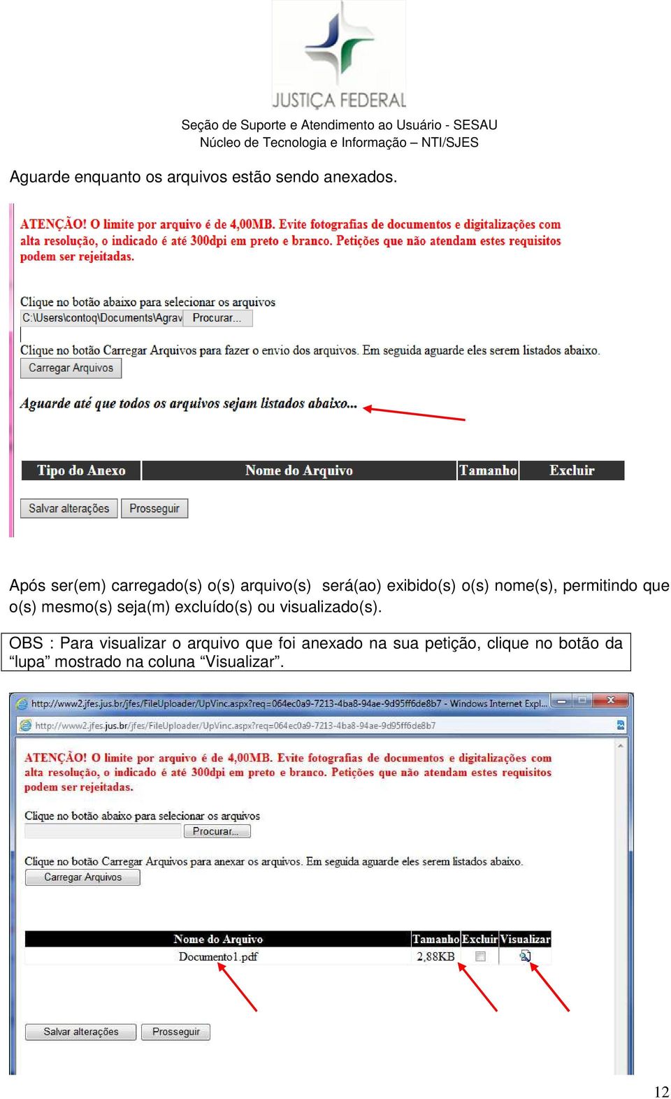 permitindo que o(s) mesmo(s) seja(m) excluído(s) ou visualizado(s).