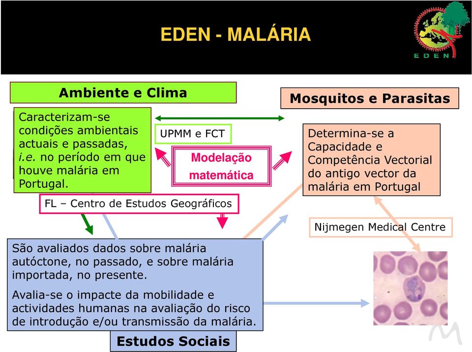 antigo vector da malária em Portugal Nijmegen Medical Centre São avaliados dados sobre malária autóctone, no passado, e sobre malária